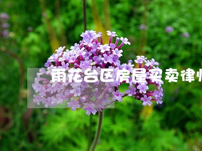 雨花台区房屋买卖律师费用标准 雨花台区房屋买卖律师费用标准