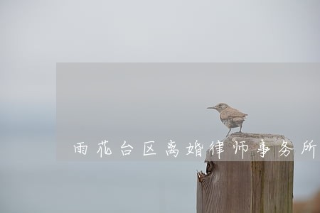 雨花台区离婚律师事务所 雨花台区离婚律师事务所