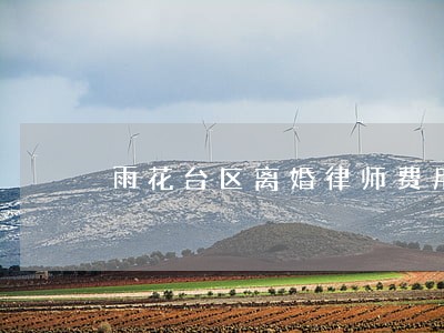 雨花台区离婚律师费用 雨花台区离婚律师费用