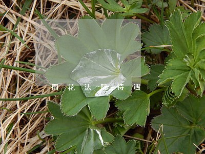 雨花法院待遇 雨花法院待遇