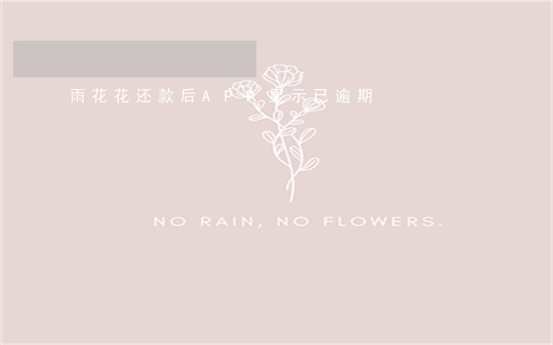 雨花花还款后APP显示已逾期