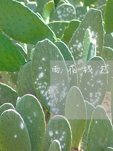 雨花钱包逾期会怎样 雨花钱包逾期会怎样