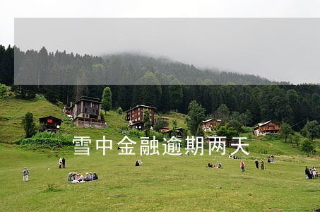 雪中金融逾期两天