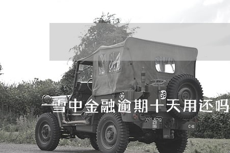 雪中金融逾期十天用还吗 雪中金融逾期十天用还吗
