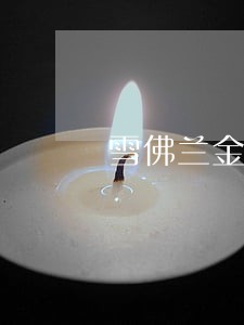 雪佛兰金融逾期三天