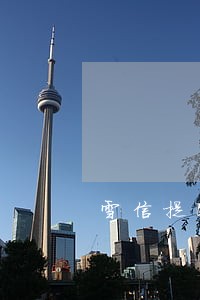 雪信提醒我还款逾期