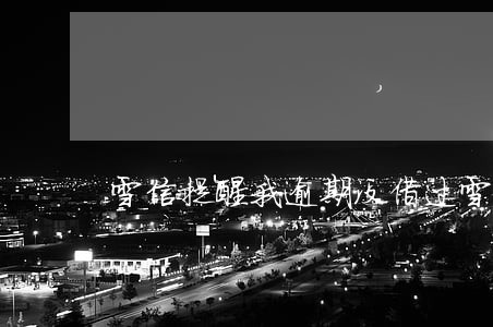 雪信提醒我逾期没借过雪信