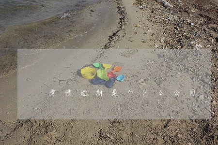 雪债逾期是个什么公司