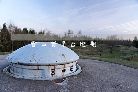 雪山贷平台逾期