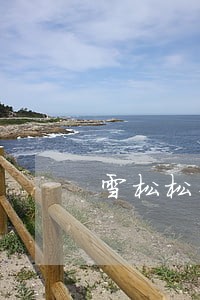 雪松松果财富逾期 雪松松果财富逾期