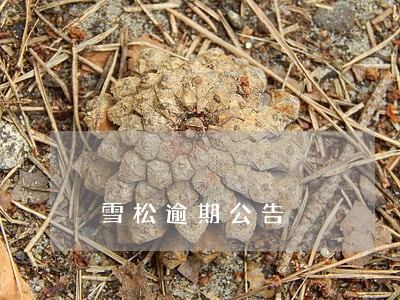 雪松逾期公告