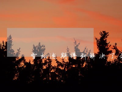 雪松逾期得到解决了么