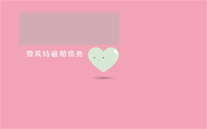 雪莱特逾期债务