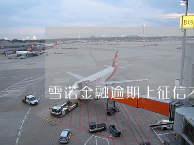 雪诺金融逾期上征信不
