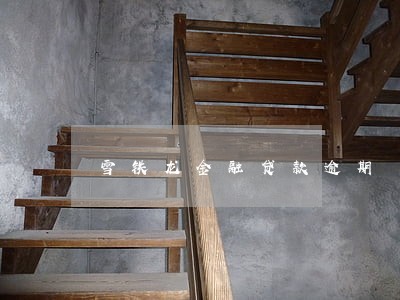 雪铁龙金融贷款逾期 雪铁龙金融贷款逾期