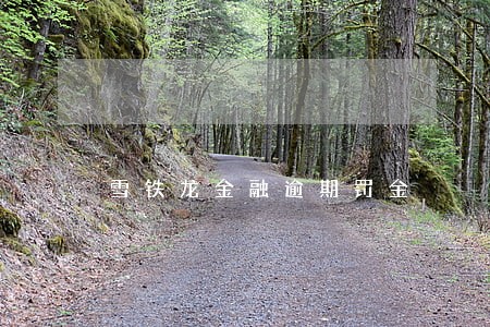 雪铁龙金融逾期罚金 雪铁龙金融逾期罚金