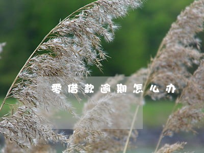 零借款逾期怎么办 零借款逾期怎么办