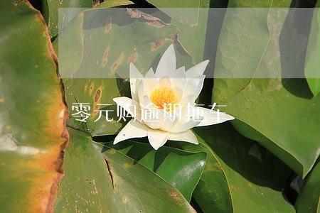 零元购逾期拖车