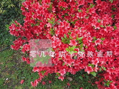 零几年助学贷款逾期 零几年助学贷款逾期