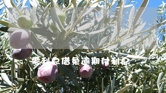 零利息借条逾期付利息 零利息借条逾期付利息