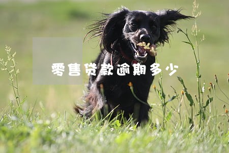 零售贷款逾期多少 零售贷款逾期多少