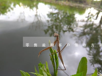 零售逾期客户催收方案
