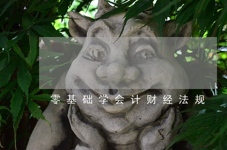 零基础学会计财经法规 零基础学会计财经法规