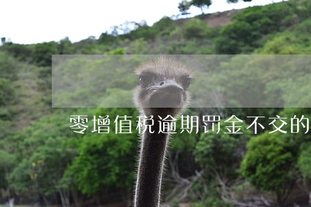 零增值税逾期罚金不交的后果