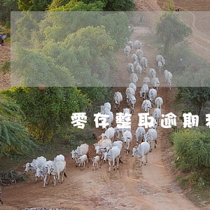零存整取逾期利息