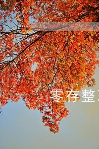 零存整取逾期支取利息计算 零存整取逾期支取利息计算