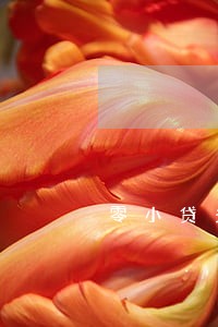 零小贷多久算逾期 零小贷多久算逾期