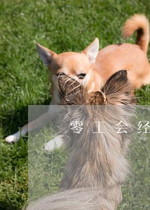 零工会经费逾期申报 零工会经费逾期申报