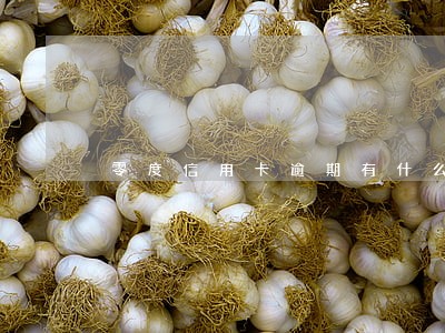 零度信用卡逾期有什么后果 零度信用卡逾期有什么后果