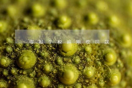 零报个税逾期要罚款 零报个税逾期要罚款