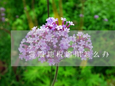 零报地税逾期怎么办 零报地税逾期怎么办