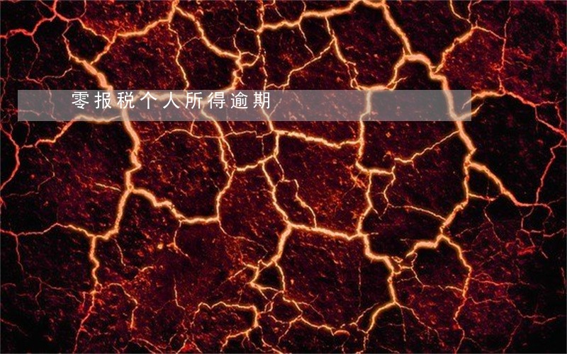 零报税个人所得逾期