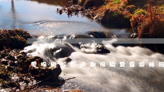 零报税公司逾期报税需要做账吗 零报税公司逾期报税需要做账吗
