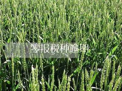 零报税种逾期 零报税种逾期