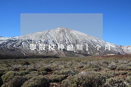 零报税种逾期1个月 零报税种逾期1个月