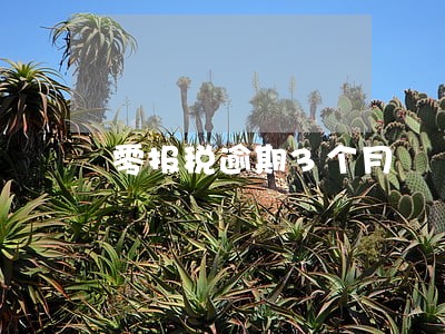 零报税逾期3个月 零报税逾期3个月