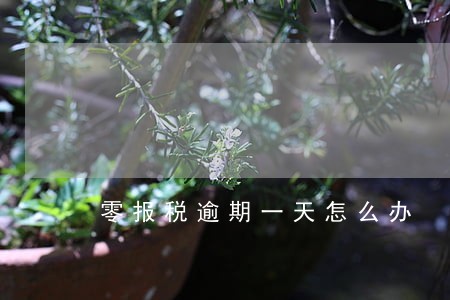 零报税逾期一天怎么办 零报税逾期一天怎么办