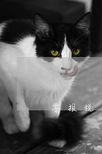 零报税逾期怎么办 零报税逾期怎么办
