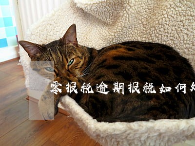 零报税逾期报税如何处理 零报税逾期报税如何处理
