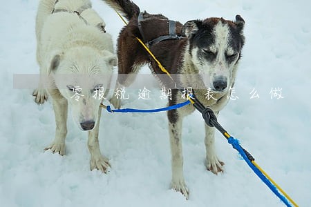 零报税逾期报表怎么做