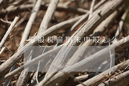 零报税逾期未申报怎么办 零报税逾期未申报怎么办