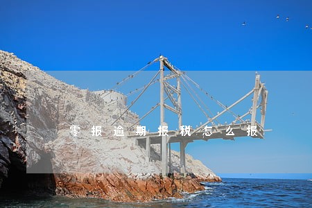 零报逾期报税怎么报 零报逾期报税怎么报
