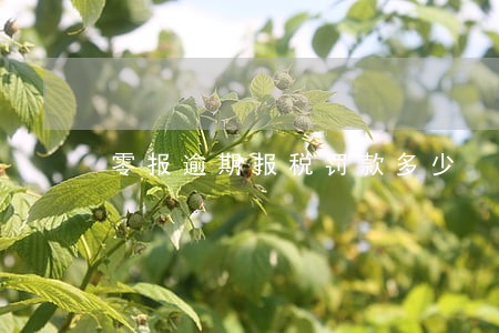 零报逾期报税罚款多少 零报逾期报税罚款多少