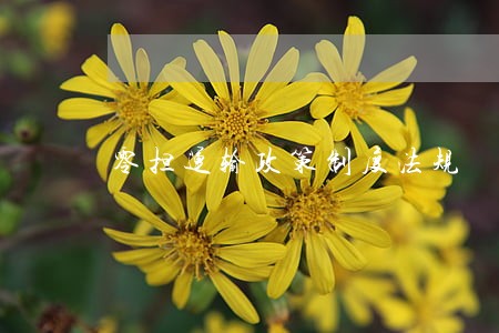 零担运输政策制度法规