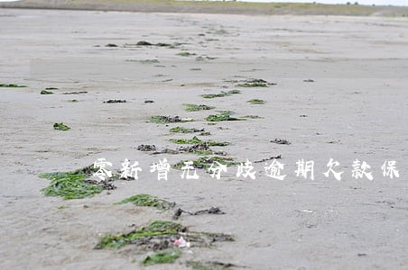 零新增无分歧逾期欠款保障措施 零新增无分歧逾期欠款保障措施