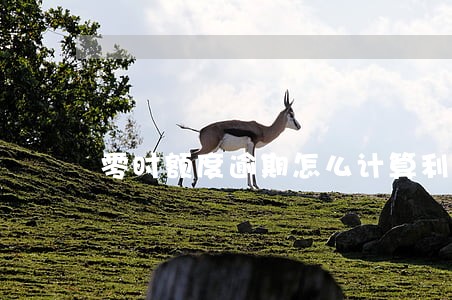 零时额度逾期怎么计算利息 零时额度逾期怎么计算利息